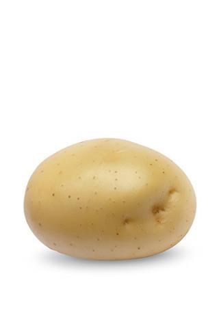 Семена картофель Примабель 1 репродукция