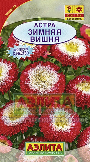 Семена Астра Зимняя вишня, 0.2г