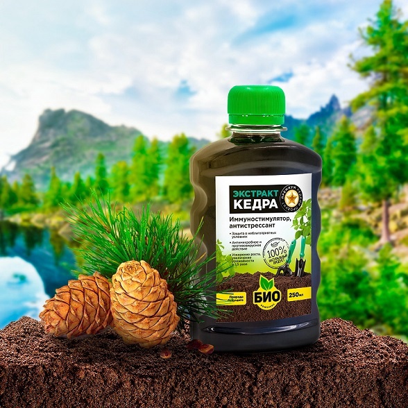 БИО-комплекс Экстракт Кедра 0,25л