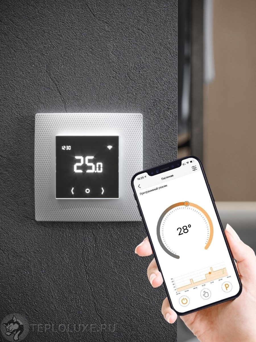 Терморегулятор EcoSmart 25