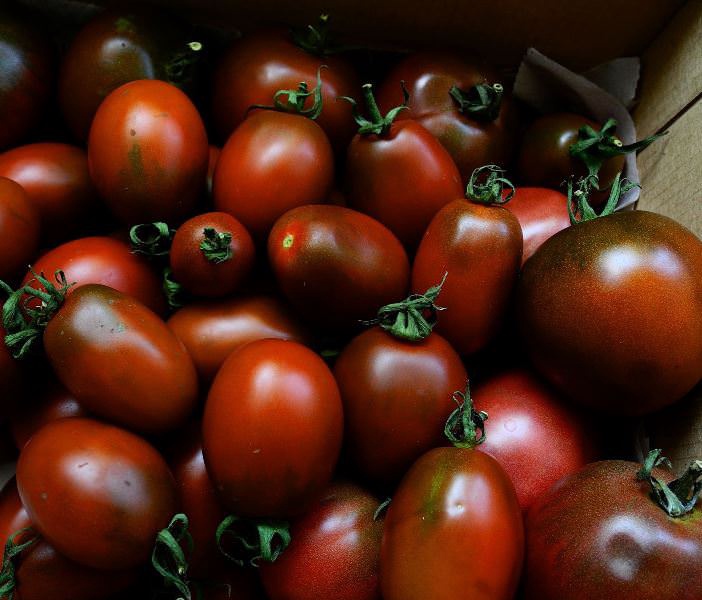 Семена томат черный мавр арт. А10355 Россия