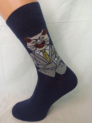 Носки мужские  Crazy Sock, 27, темно-синий НМ 699-40