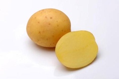 Семена картофель Мадейра 1 кг