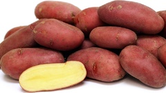 Семена картофеля Палац