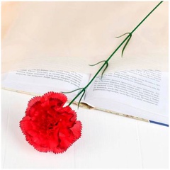 Цветок искусственный Гвоздика красная с кантом 50 см. арт. 183277 