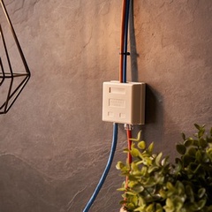 Розетка телефонная + сетевая LAN, на стену, (гнездо 8Р8С (Rj-45) + гнездо 6Р-4С (RJ-11))Rexant