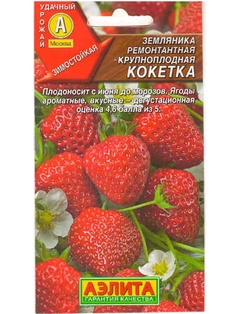 Земляника ремонтантная Кокетка крупноплодная 10 шт. 