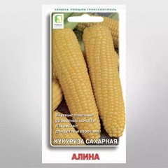Семена кукуруза сахарная ПОИСК Алина (А) (ЦВ) 5 гр. 