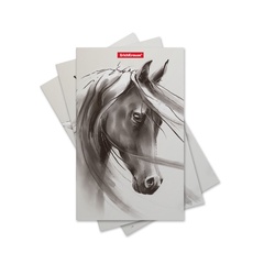 Записная книга на скобе ErichKrause® Wild Horse, 112х181 мм, 32 листа, в точку