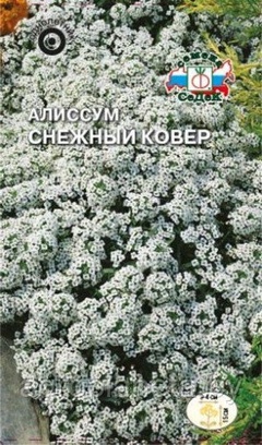 Алиссум СНЕЖНЫЙ КОВЁР, 0.1г