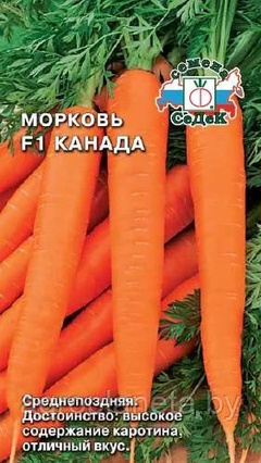 Морковь КАНАДА F1(инкрустированные), 100 шт