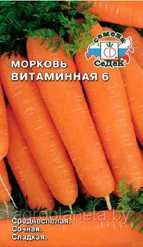 Морковь ВИТАМИННАЯ 6, 2г