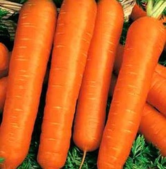 Семена Морковь дражже гель, без сердцевины 300шт Россия