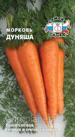 Морковь ДУНЯША, 2г