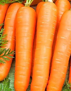 Семена морковь Малика гранул, 200шт Россия