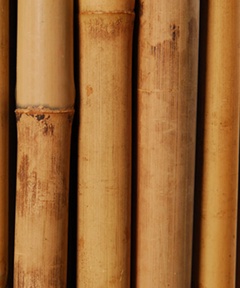 Опора бамбуковая 60 см 8-10 мм