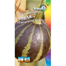 Семена "Тыква Амбар" 0.3 гр. 