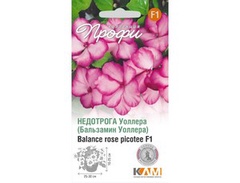 Недотрога Уоллера (Бальзамин Уоллера) Баланце Роуз Пицотее F1, 10 шт