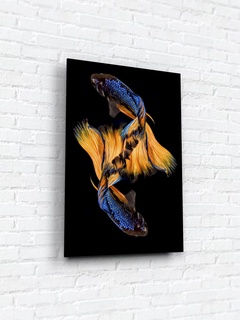 Картина на стекле 40х60 "Бойцовая рыбка 2". Артикул WB-02-64-04