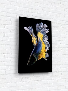 Картина на стекле 40х60 "Бойцовая рыбка 3". Артикул WB-02-65-04
