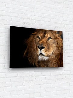 Картина на стекле 40х60 "Благородный лев". Артикул WB-02-76-04