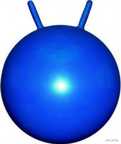 Мяч гимнастический 55 см. арт. 0000003093 