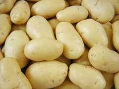 Семена картофеля Джувэл