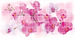 Панель ПВХ Мозаика Орхидея розея 955х480мм 