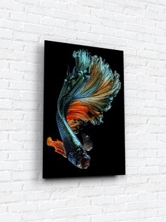 Картина на стекле 40х60 "Бойцовая рыбка 1". Артикул WB-02-63-04